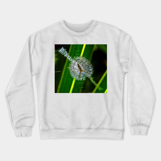 Spider in web Crewneck Sweatshirt by joesaladino